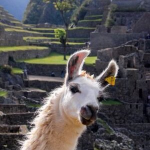 Perú